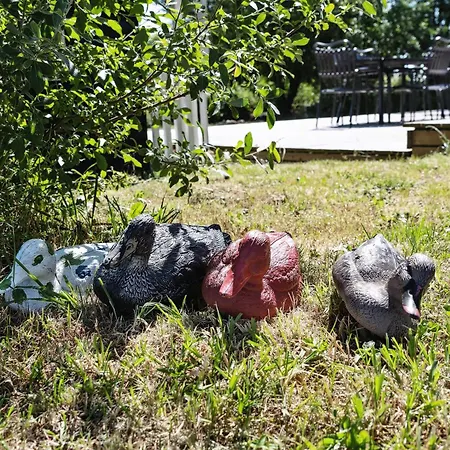 With Lillebaelt As Neighbour And A View Over Fields