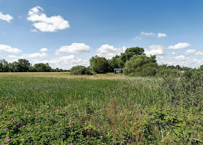 With Lillebaelt As Neighbour And A View Over Fields *