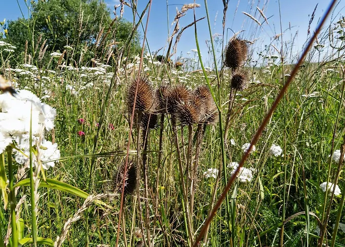 With Lillebaelt As Neighbour And A View Over Fields هادرسليف