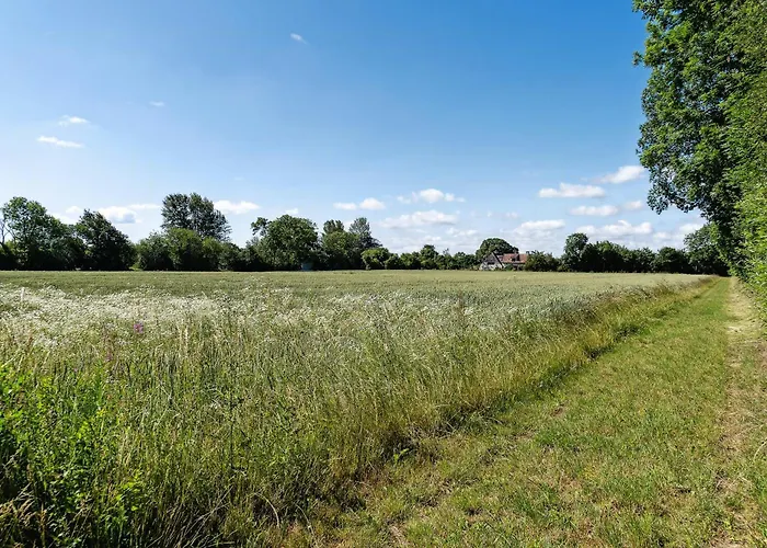 With Lillebaelt As Neighbour And A View Over Fields *